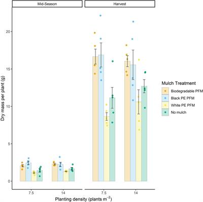Biodegradable plastic mulch films increase yield and promote nitrogen use efficiency in organic horticulture